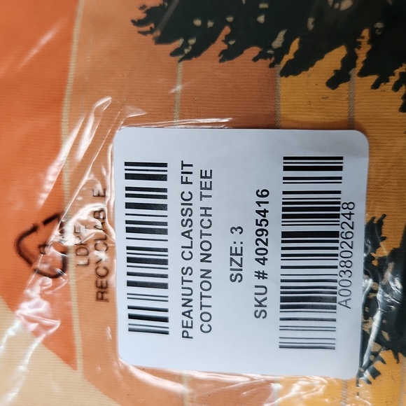 ❤️NWT VINTAGE TORRID TEE - PEANUTS SNOOPY WOODSTOCK TAKE A HIKE NOTCH PLUS SIZE - Picture 9 of 13